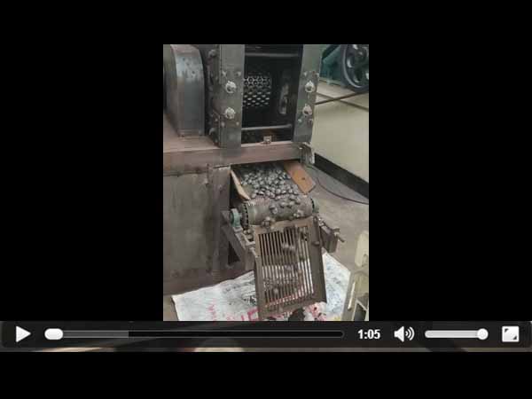 ���F�ۉ���ҕ�l